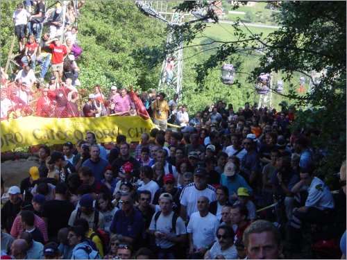 watching the fearless downhillers...