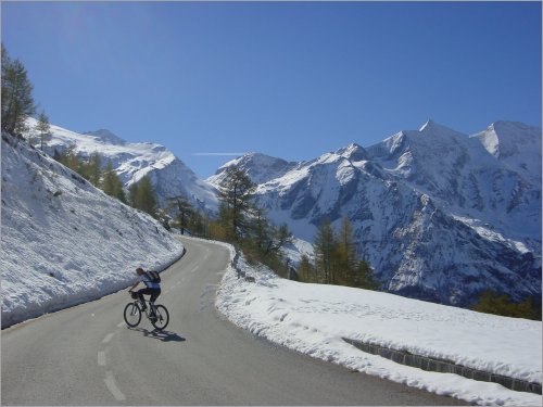 on the panoramic road of grossglockner