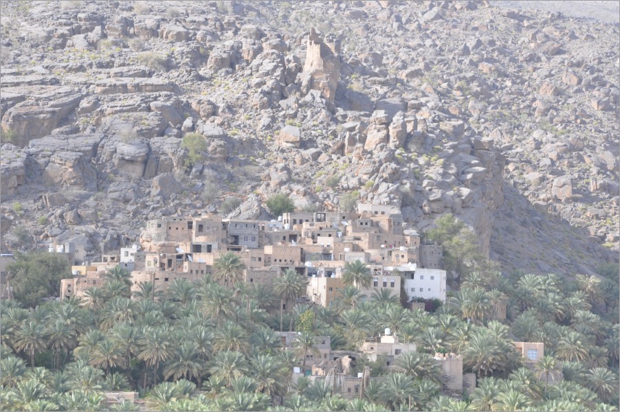 the village misfat al-abriyyin - in the middle of palmtrees