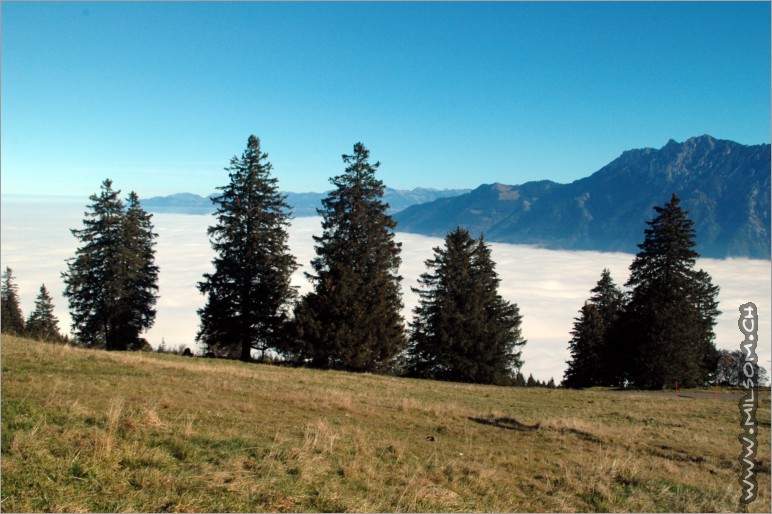 hiking up the margelchopf from the buchser malbun