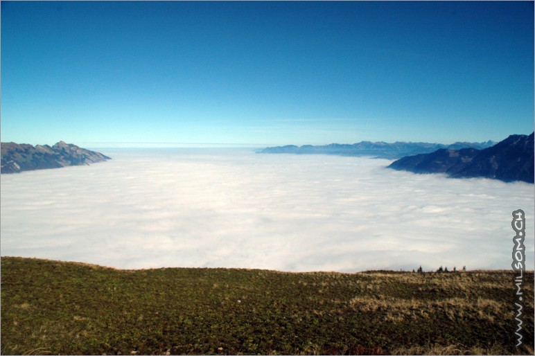 looking down towards the lake of constance / germany