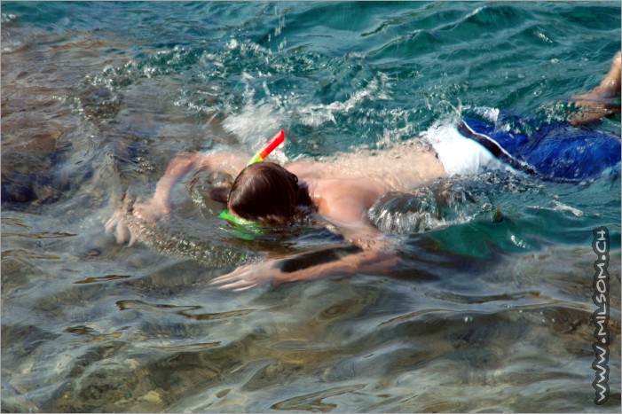 snorkeling in the clear water